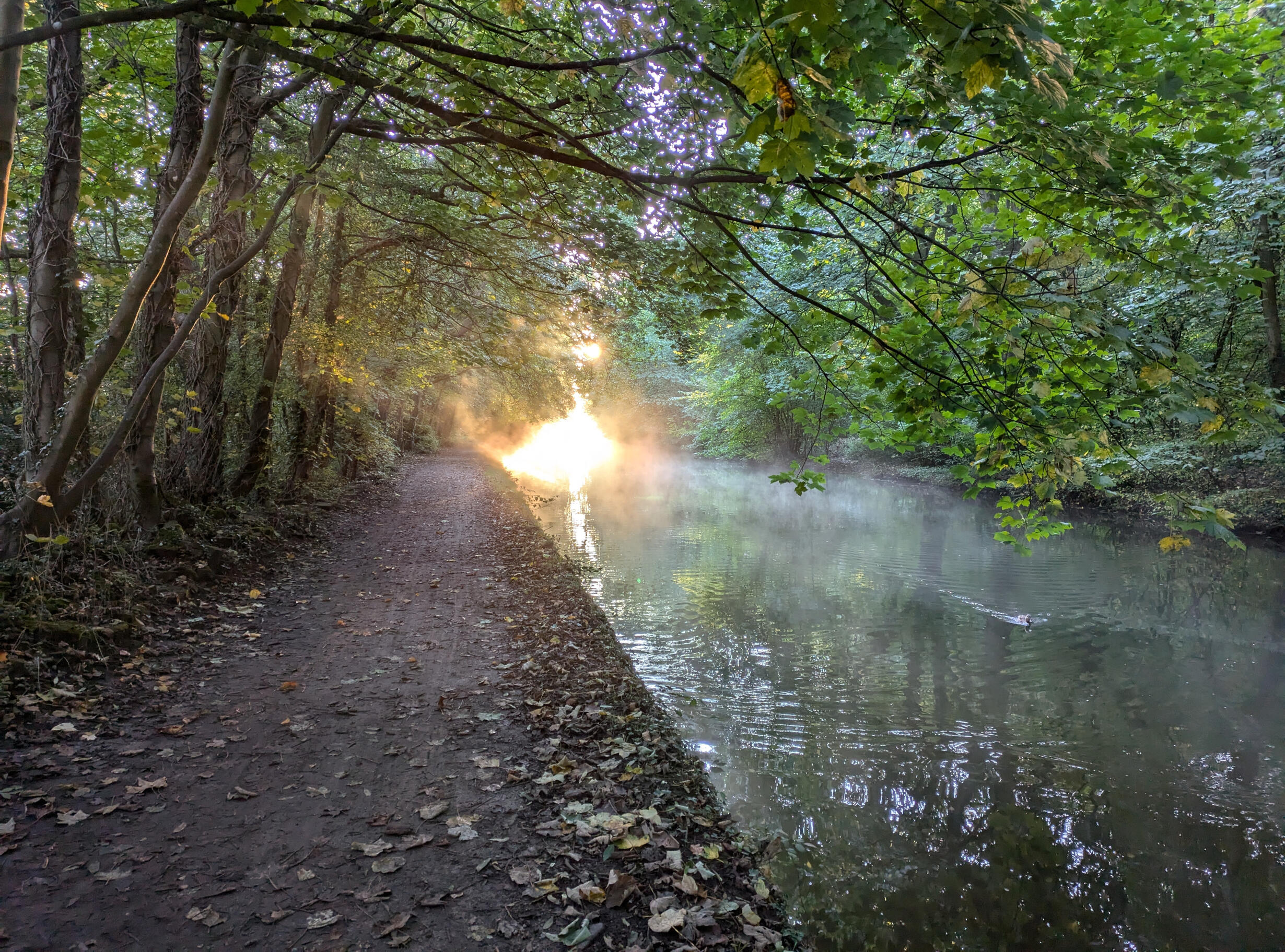 Strong sunshine in the distance over a canal, Bingley