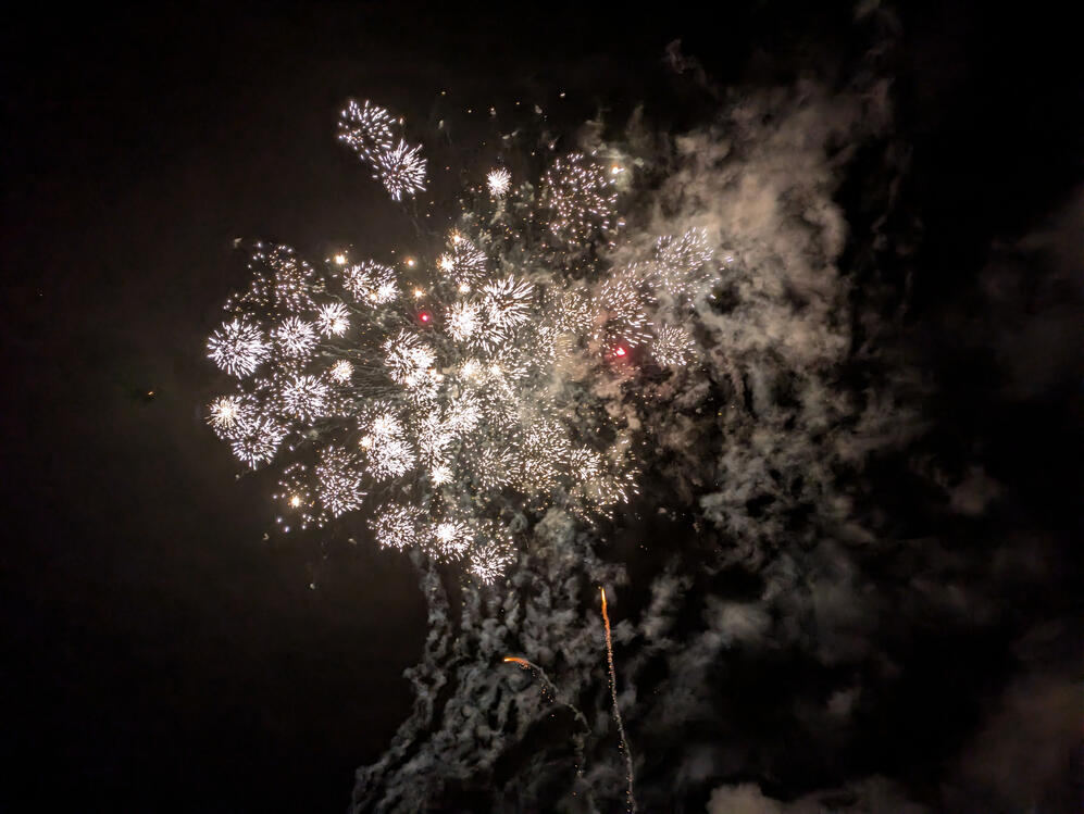 Fireworks against a night sky